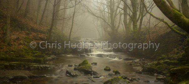 Gibson's Cave, Bowlees, County Durham